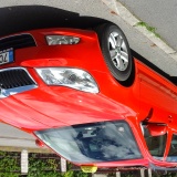 Maxi T. Č. L.