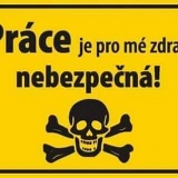 Petr B.